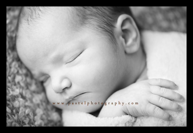 Los Angeles Baby Photographer